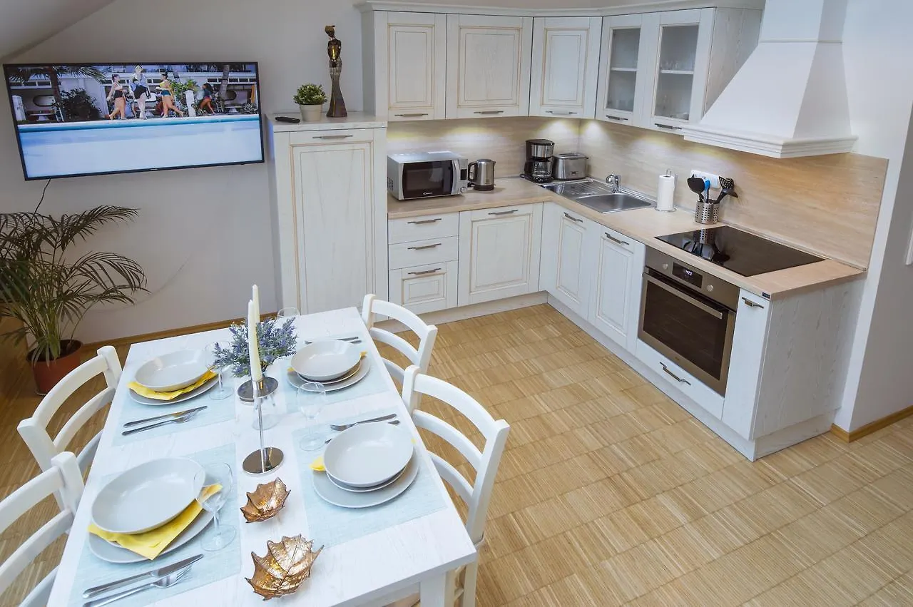 Modern Apartment Charvatova Prague